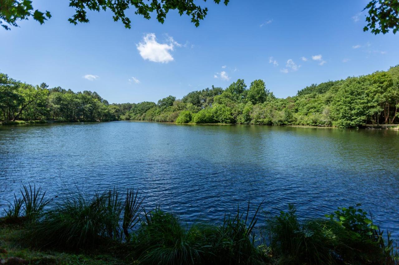 Camping L'Etang D'Ardy *** Saint-Paul-les-Dax Bagian luar foto
