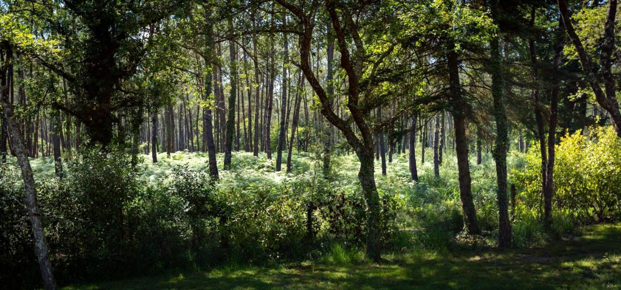 Camping L'Etang D'Ardy *** Saint-Paul-les-Dax Bagian luar foto