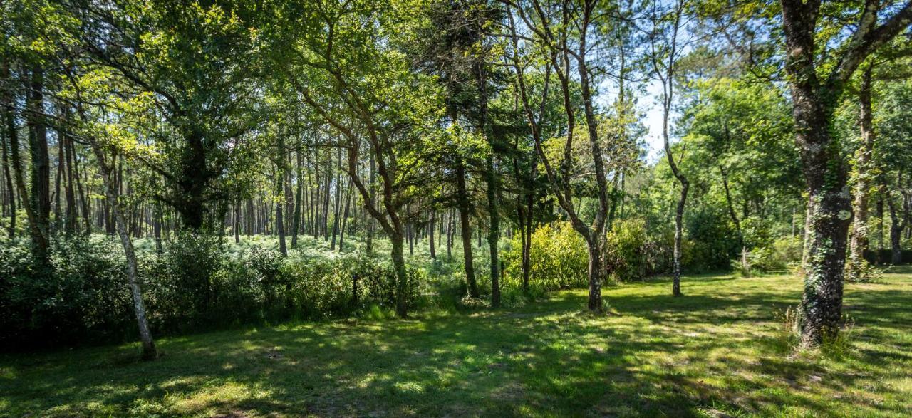 Camping L'Etang D'Ardy *** Saint-Paul-les-Dax Bagian luar foto
