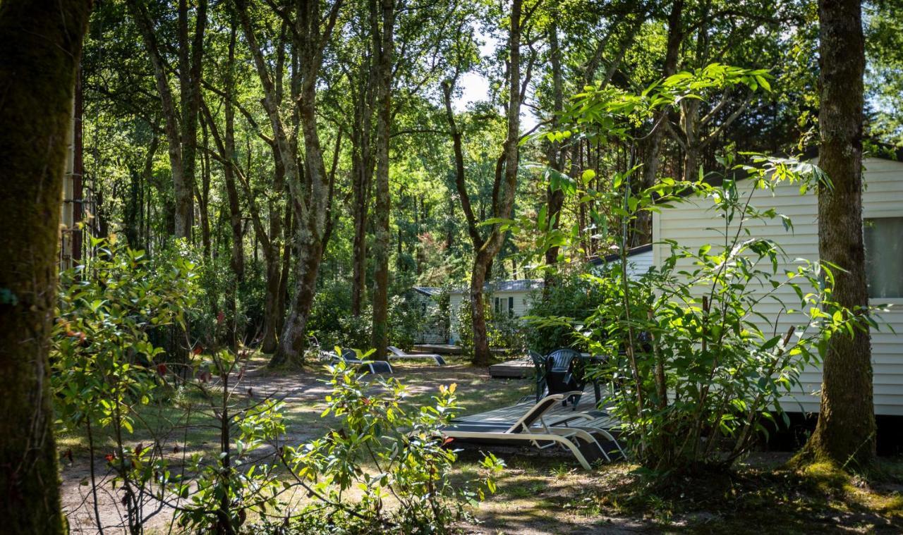 Camping L'Etang D'Ardy *** Saint-Paul-les-Dax Bagian luar foto