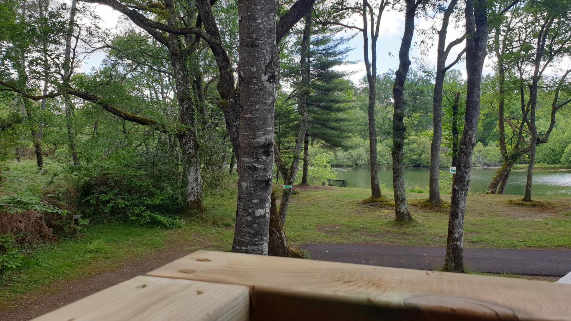 Camping L'Etang D'Ardy *** Saint-Paul-les-Dax Bagian luar foto
